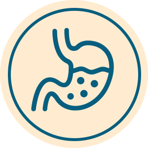 bifidobacterium longum
